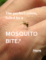The murderer covered his tracks, no witnesses, no fingerprints. But if a mosquito bit him at the crime scene, it could lead to his conviction.